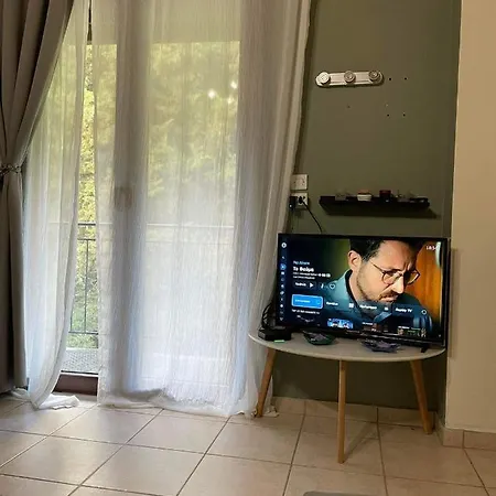 τα πέτρινα γεφύρια