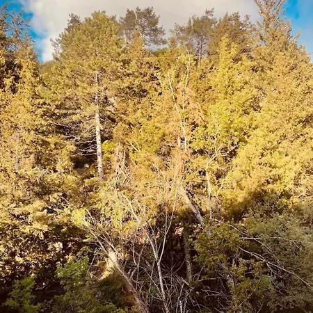 τα πέτρινα γεφύρια Διαμέρισμα *